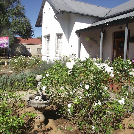 Lavender Rose Bed and Breakfast Bethulie Buitenkant foto