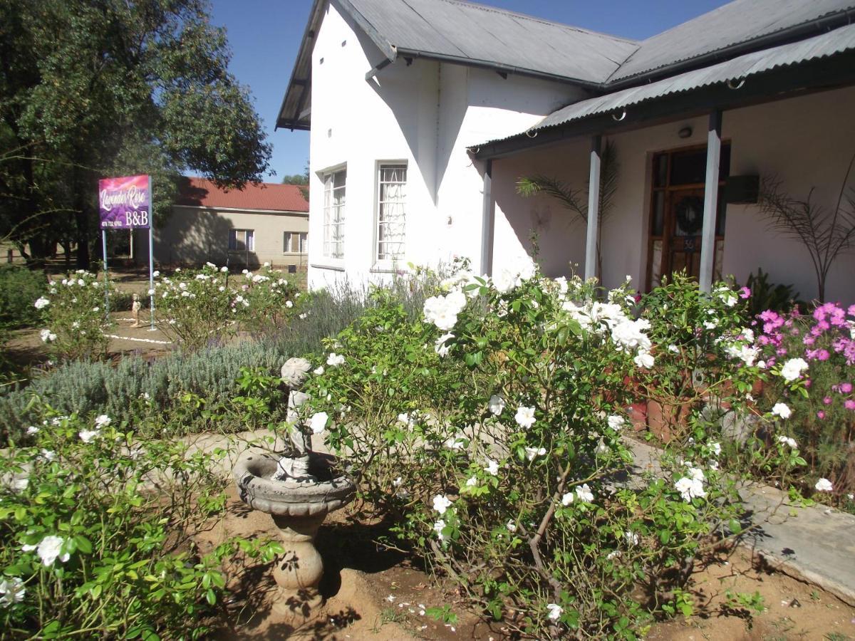 Lavender Rose Bed and Breakfast Bethulie Buitenkant foto