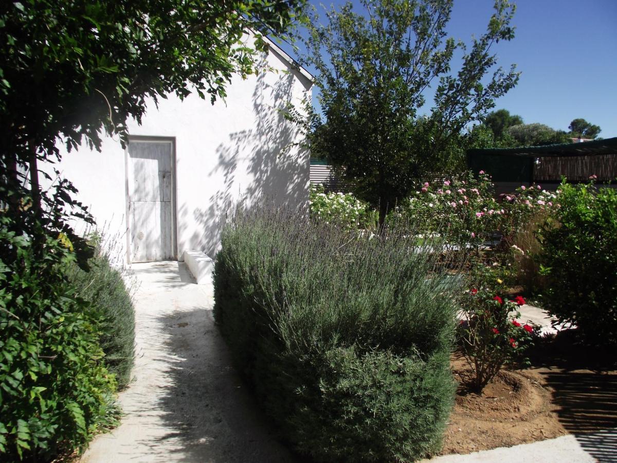 Lavender Rose Bed and Breakfast Bethulie Buitenkant foto